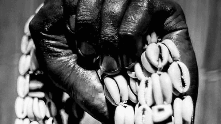 Artifact: Cowrie Shell